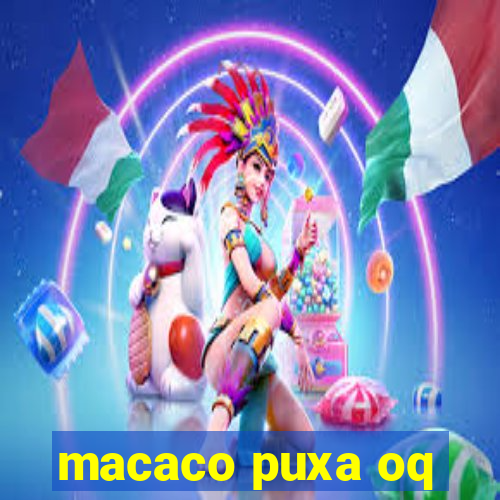 macaco puxa oq